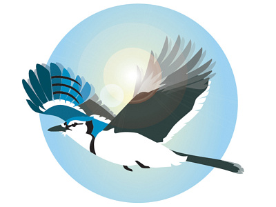 Blue Jay logo illustration vector