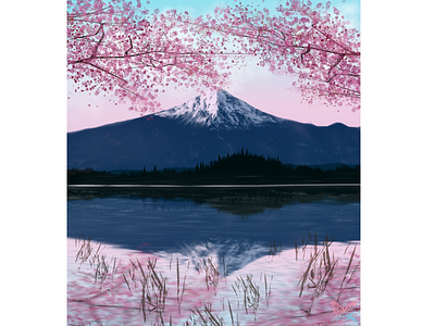 Mt.Fuji under Sakura illustration