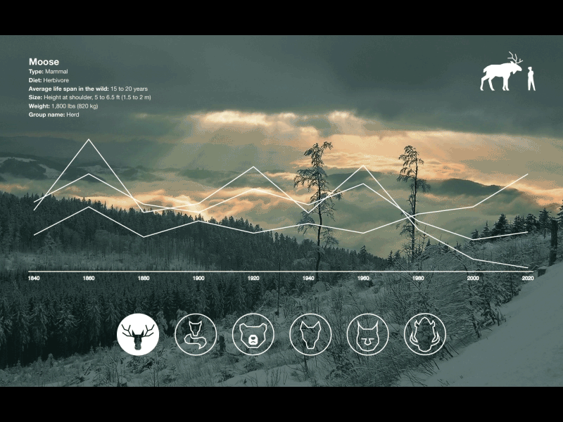 Inhabitants of the Swedish forest after effect animals forest moose statistics sweden transition wild life