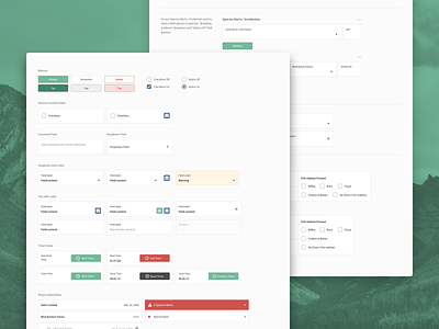 Style Guide - Ecology App design system green ipad mobile style guide ui kit