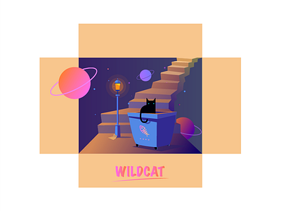 wildcat cat night star wildcat