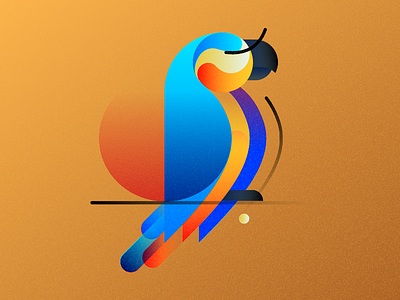 The parrot bird birdserie colorful digitalart illustration parrot
