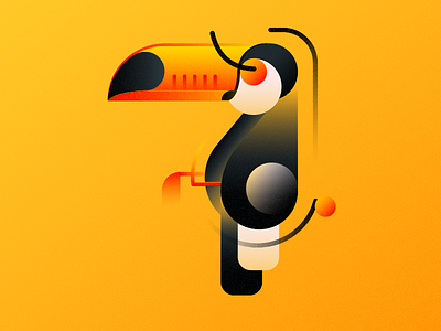 The toucan birds birdserie digitalart illustration project toucan