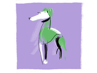 The Greyhound animal color digital digitalart dog greyhound illustration