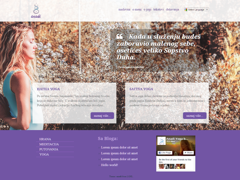 anadi - wordpress theme v2 responsive minimal theme ux web design theme wordpress wp