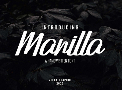 Manilla brand clothing design illustration lettering logo magazine poster quote script signature ui