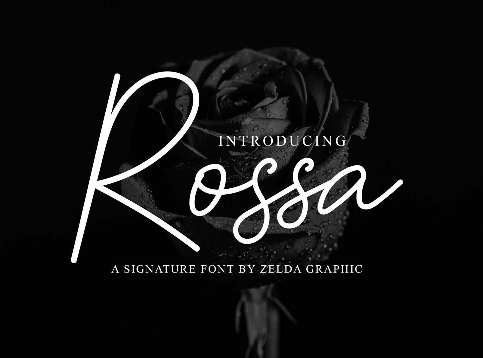 Rossa - Signature Script by Didik Saputra on Dribbble