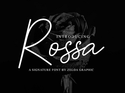 Rossa - Signature Script brand clothing design font illustration lettering logo magazine poster quote script ui