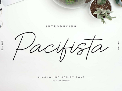 Pacifista