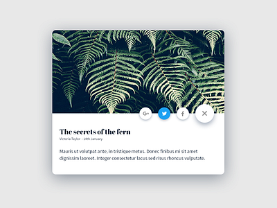 DailyUI #010 Social Share 010 challange dailyui fern share social