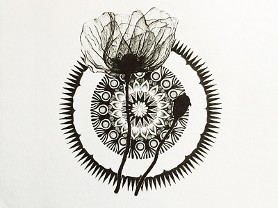 Poppies Mandala black and white flower hand drawn illustration ink mandala paper pen