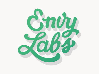 Scripty Labs envy labs gradient hand drawn illustration script typography