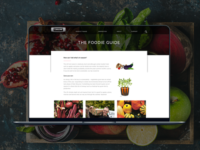 Leisure Cookers UI design ui website