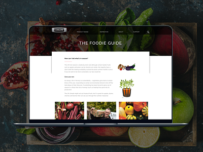 Leisure Cookers UI design