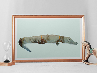 Sea Crocodile, Northern Territories, Illustration x Photography australia illustration northern territories photography poster in giclé sea crocodile wild life