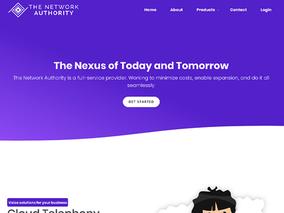 The Network Authority - Homepage Web Design web design agency web designer wordpress graphic design web development graphicdesign website webdesign web design
