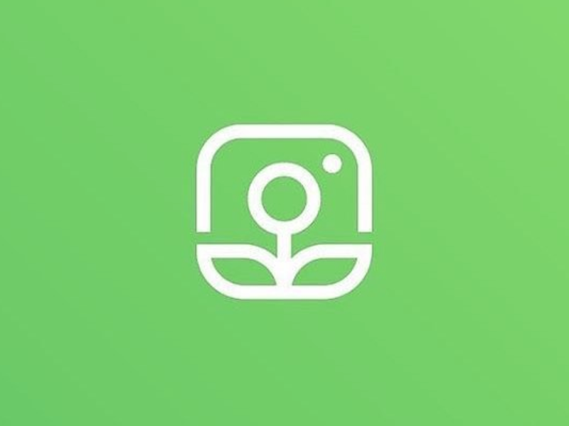 Organic Instagram Growth plant icon rebrand logo flower growth organic instagram