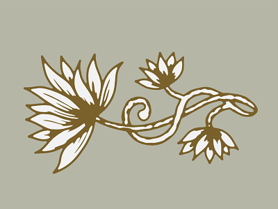 Lotus branding color palette decorative floral flower hand drawn illustration lines lotus flower organic peaceful