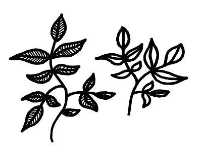 Branches black and white draw hand drawn handdrawn illustration ink leaves lines nature pen simple