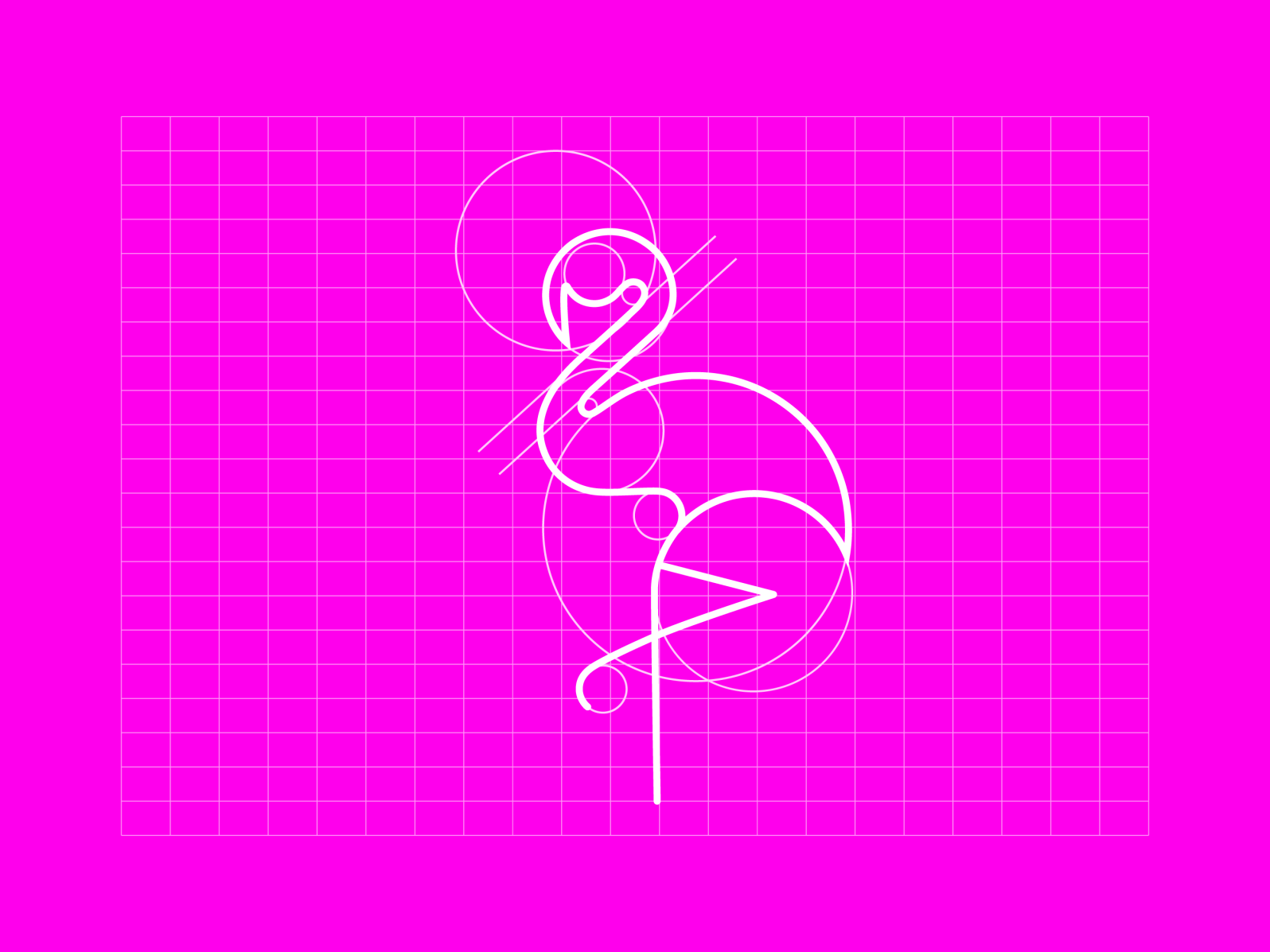 Flamingo Logo Design Using Golden Ratio By Tako Gbd On Dribbble