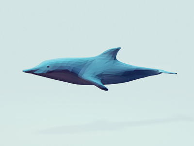 Dolphin 3d cinema4d illustration low poly