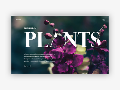 Plants branding clean design homepage minimalistic nature site travel ui ux web website