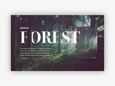 Magical Forest branding clean colorful design front end minimalistic type typography ui ux web webdevelopment website
