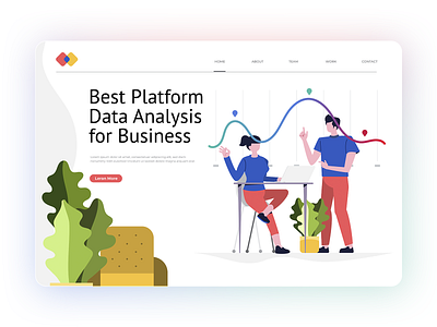 Data Analyze Platform.