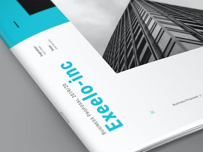 Proposal brochure business catalog catalogue design indesign new print print design profile project proposal