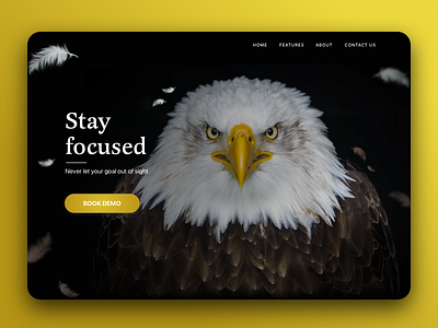 Stay Focused abstract animal artwork branding clean design header landing minimal page webpage website