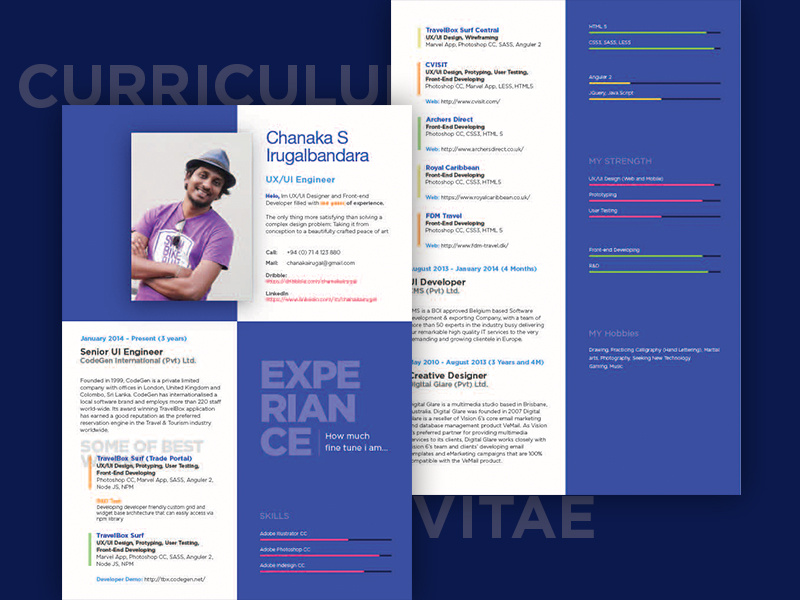 Curriculum Vitae curriculumvitae cv skills ux ui resume print flat editorial
