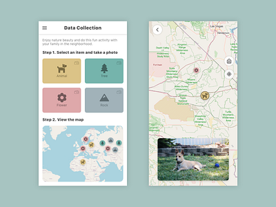 Data Collection app app app design design map mobile design ui ux