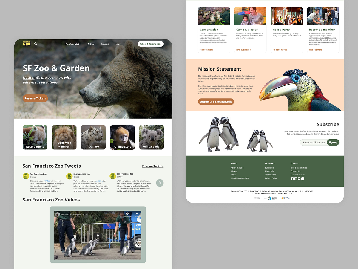 Zoo Website designs, themes, templates and downloadable graphic ...