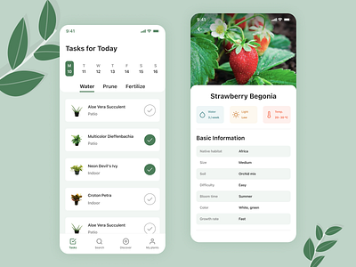 Plants Care Mobile App Concept app app design application design mobile design plant plant care plants plants care ui ux