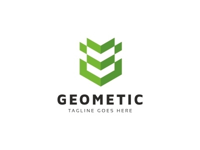 Geometric Abstract Logo