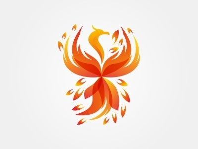 Phoenix Logo bird bird logo brand branding corporate fire flat flow fly freedom immortality logo luxurious majestic modern mythology orange phoenix phoenix logo rebirth