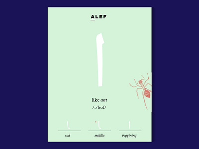 Arabic Letter Cards - Letter Alef