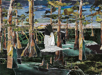 Whooping Crane Animation Still animal animation bird experimental illustration paper collage texture