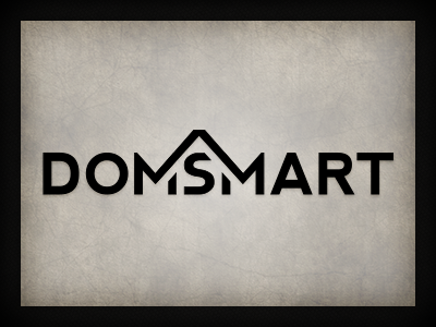 Domsmart branding logo logo design qchar design