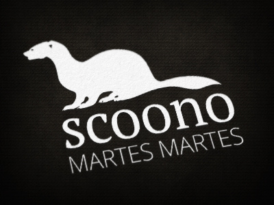Scoono logo design qchar design scoono