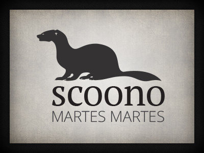 Scoono branding fashion design logo design qchar design scoono