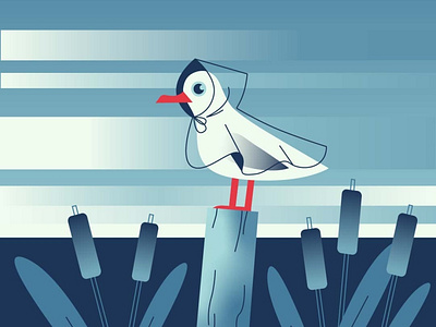 Seagull design illustration seagull vector