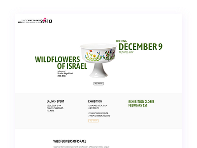 Wildflowers of Israel design flat minimal typography web website