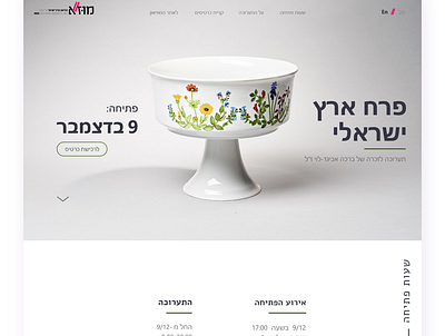 Wildflowers of Israel - Hebrew art design exhibitions figma flat minimal ui web website