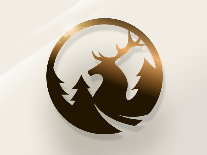Ekolas logo design animation brand identity branding logotype rebrand brand flat art logo app design