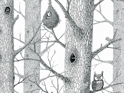 Forrest stories bird. branches. bw. forrest. hollow. illustration. nest.
