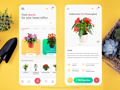 Plant Mobile App Design application design branding design flower illustration mobile app design mobile ui online shopping plant plant app potted plant ui ux ui ux design user experience userinterface