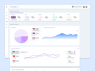 Social Media Analytics - Audience Demographic Dashboard analytics analytics chart dashboad instagram material ui web dashboard website