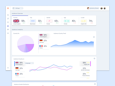 Social Media Analytics - Audience Demographic Dashboard