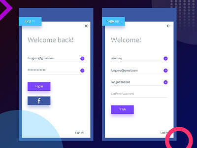 Log In & Sign Up interface login sign up